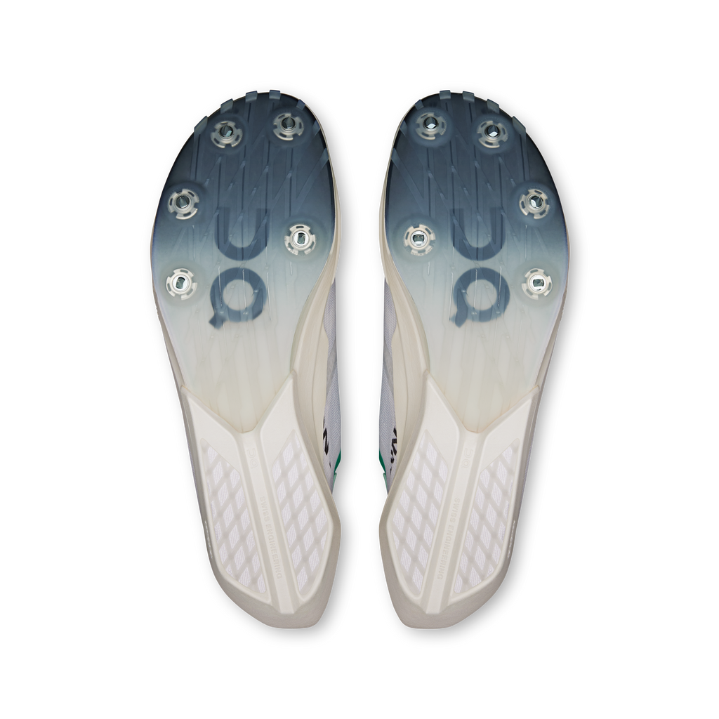 Cloudspike Amplius 2