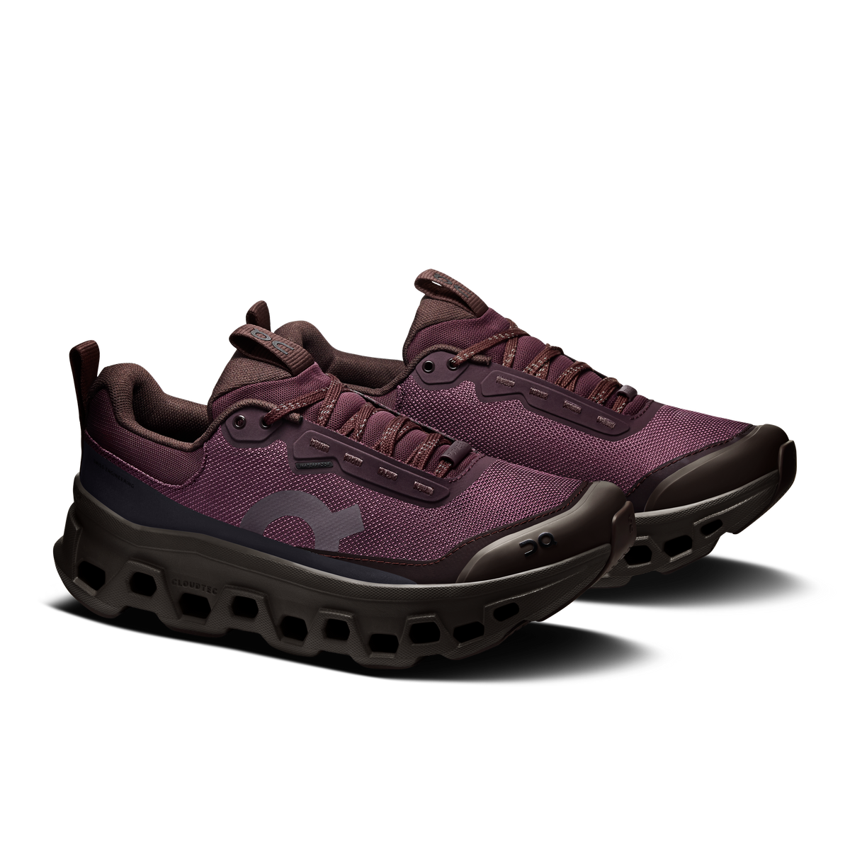 Cloudmonster 1 Waterproof