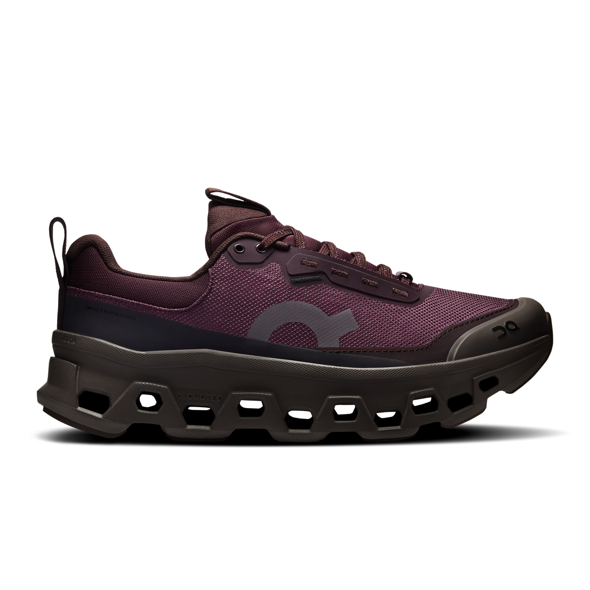 Cloudmonster 1 Waterproof