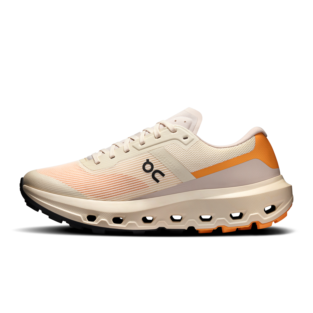 Cloudvista 3
